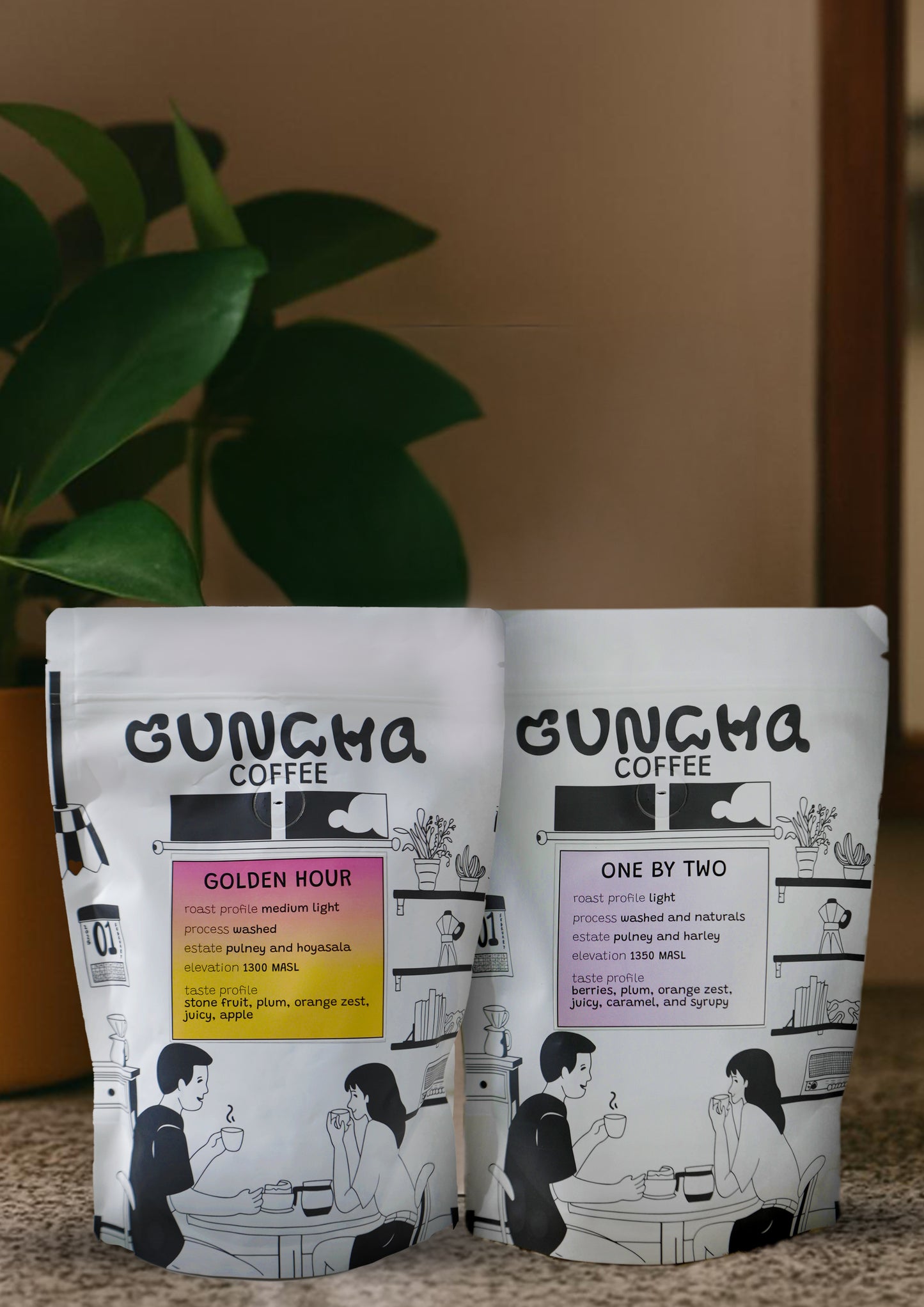 Light Roasts Sampler Pack